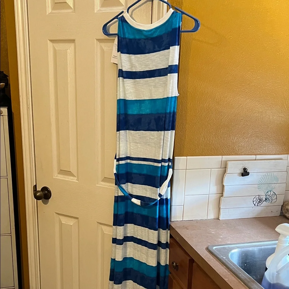 Striped Blue and White Maxi Dress - Picture 1 of 5